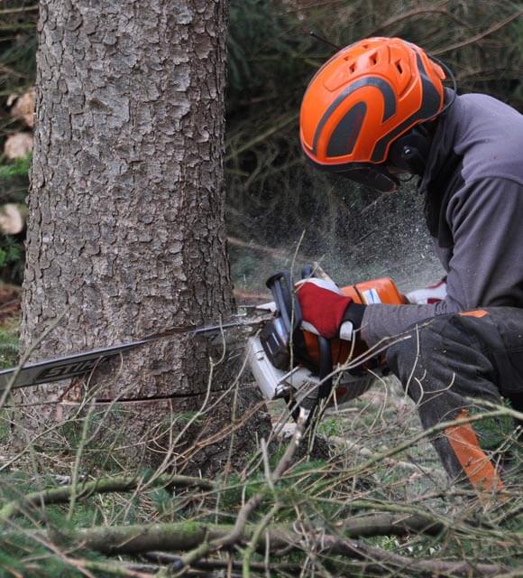 Logging-On is an independent and unbiased distributer of forestry logging information