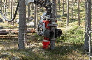 logmax-5000v-harveter-head-logging-on.jpg
