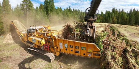 cbi-biomass-energy-biofuels-logging_on.jpg
