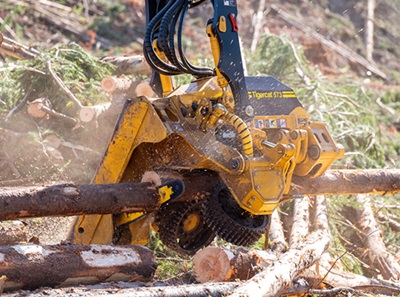 tigercat-573-harvester-head-logging-on.jpg